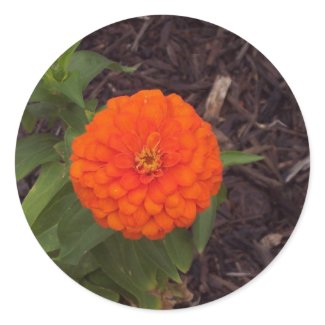 Marigold Classic Round Sticker