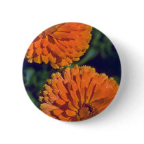 Marigold Flame Buttons