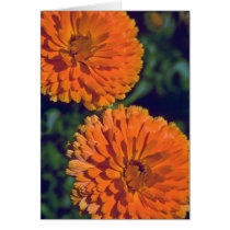 Marigold Flame Card