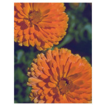 Marigold Flame Full Color Flyer