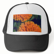 Marigold Flame Mesh Hat