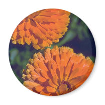 Marigold Flame Magnet