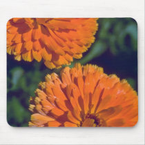 Marigold Flame Mousepads