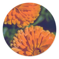Marigold Flame Round Stickers