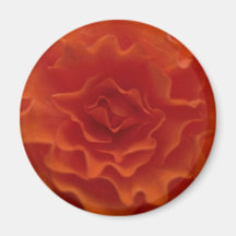 Marigold Flower Fridge Magnet