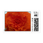 Marigold Flower Stamp