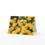 Marigold Flowers and a Daisy Flower Greeting Card,