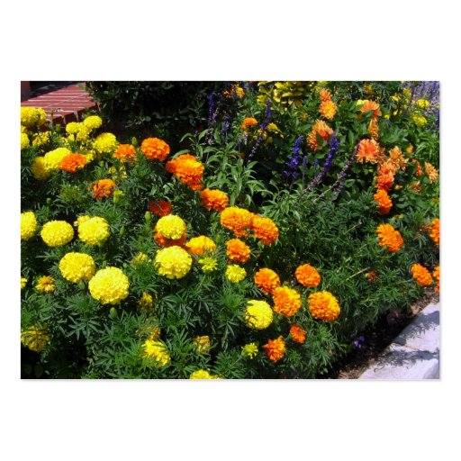 Marigold Garden Business Cards (back side)