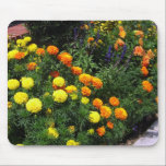Marigold Garden Mousepad