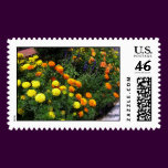 Marigold Garden Postage Stamps