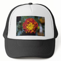 Marigold Trucker Hats