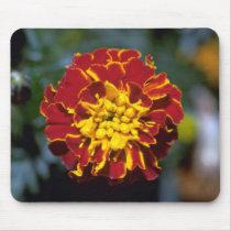 Marigold Mouse Pads