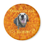 Marigold Old Beagle Magnet