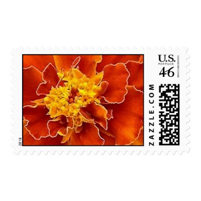 Marigold Orange Postage