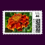 Marigold Postage