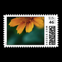 Marigold postage
