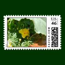 Marigold postage by Just_For_Mom Marigold postage