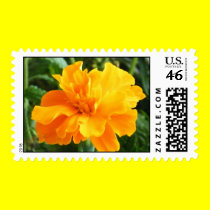 Marigold Postage stamps