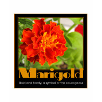 Marigold t-shirts