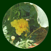 Marigold stickers by Just_For_Mom Marigold stickers