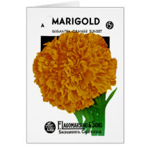 Marigold Vintage Seed Packet Greeting Cards