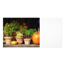 Marigolds and Pumpkins Photo Cards