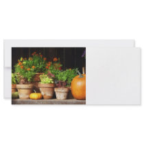 Marigolds and Pumpkins Custom Rack Card