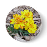 Marigolds Corsage - Allergy-Free! Pinback Buttons
