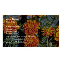 Marigolds flowers business card templates