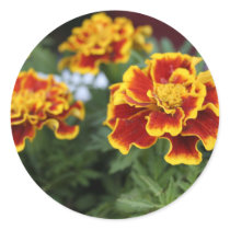 Marigolds stickers by AryadnaDesign Marigolds stickers