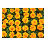 Marigolds Yellow flowers Custom Invite