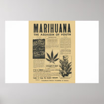 Marihuana The Assassin of Youth Poster