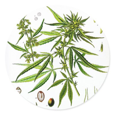 Marijuana - Round Sticker