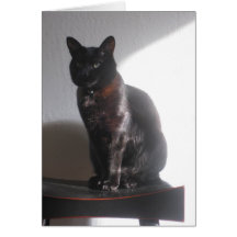 Mariko on a bench, by Joyce Yamada Greeting Cards