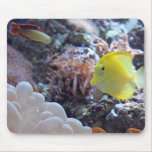 marina mouse pad mousepads