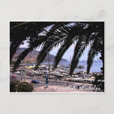 Marina view @ Funchal Postcard postcard