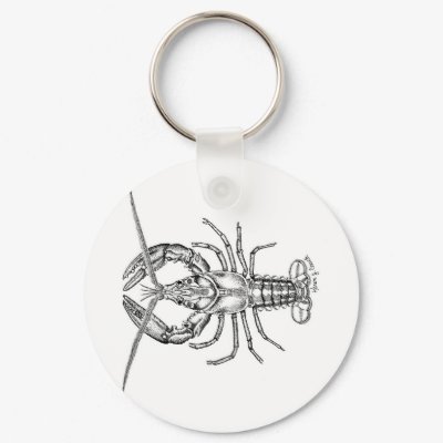 Marine / American Lobster Key Chain by moxieann