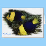 Marine Aquarium Fish by FishTs.com Card