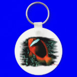 Marine Aquarium Fish by FishTs.com