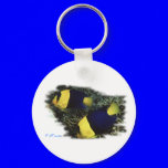 Marine Aquarium Fish by FishTs.com