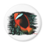 Marine Aquarium Fish by FishTs.com