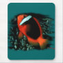 Marine Aquarium Fish by FishTs.com Mouse Pads