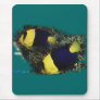 Marine Aquarium Fish by FishTs.com Mouse Mats