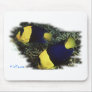 Marine Aquarium Fish by FishTs.com Mouse Pad