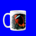 Marine Aquarium Fish by FishTs.com