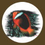 Marine Aquarium Fish by FishTs.com