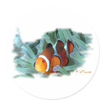 Marine Aquarium Fish by FishTs.com stickers