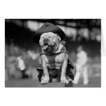 Marine Corps Mascot, 1920s Greeting Card