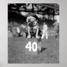 Marine Corps Mascot Jiggs: 1923 Poster