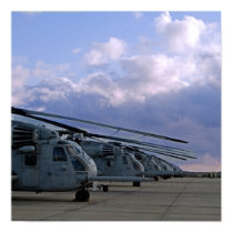Marine Dawn posters